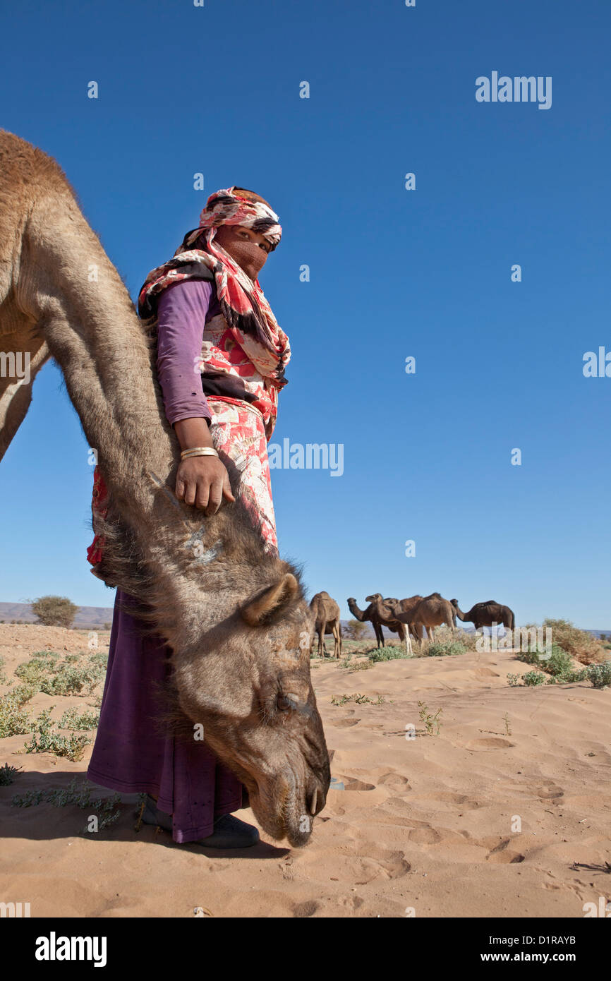 Morocco, Tamegroute, near Zagora, Berber nomad girl herding camels. Stock Photo