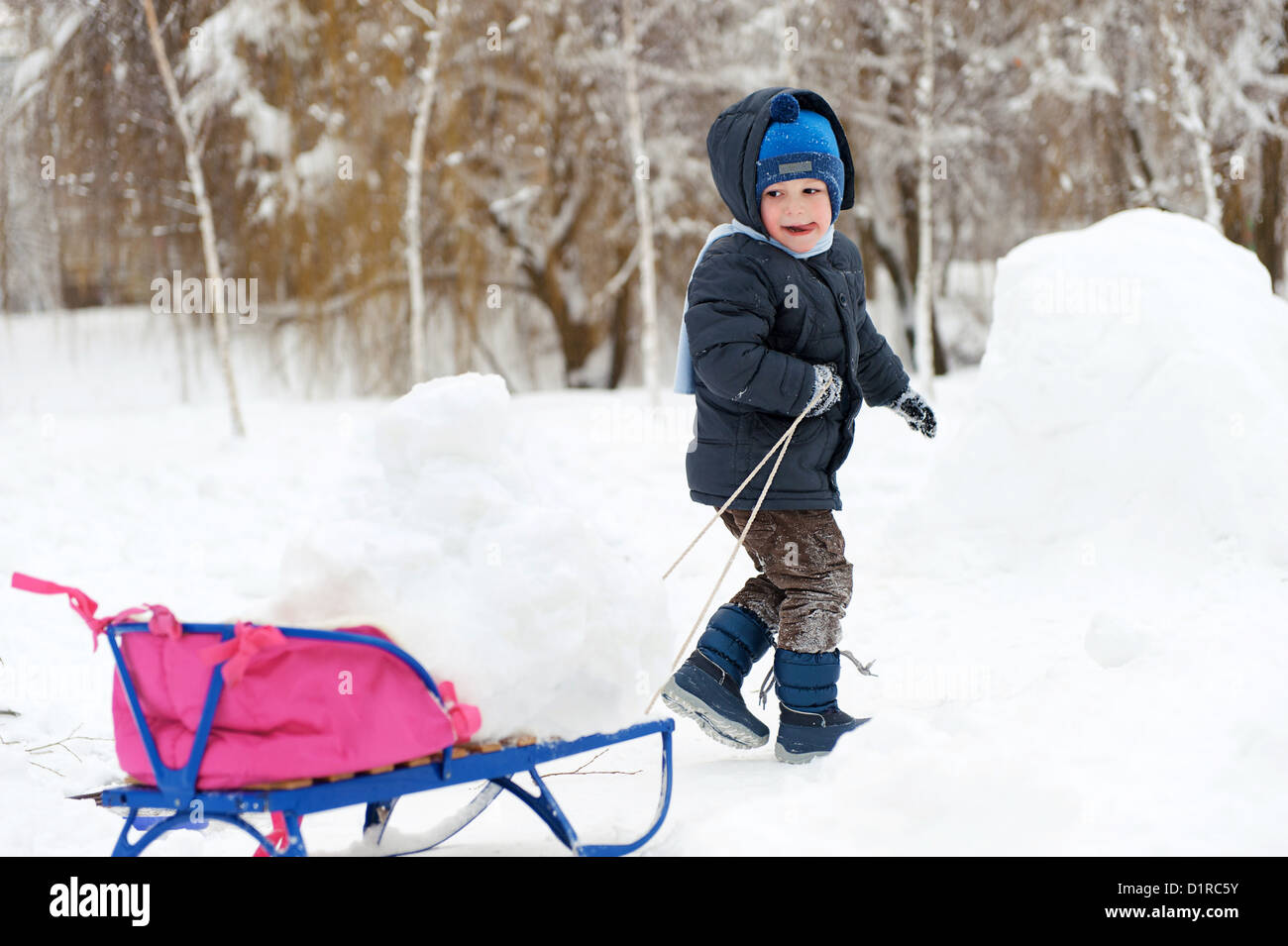 Cute little boy sledding in snow forest Stock Photo Alamy