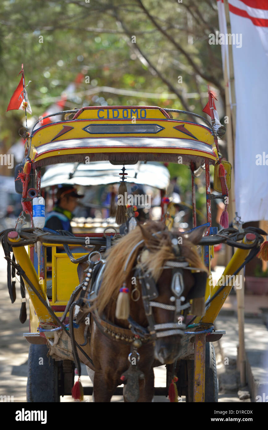 The horsedrawn carriages are called "cidomo" and are the only means of transport in the coral