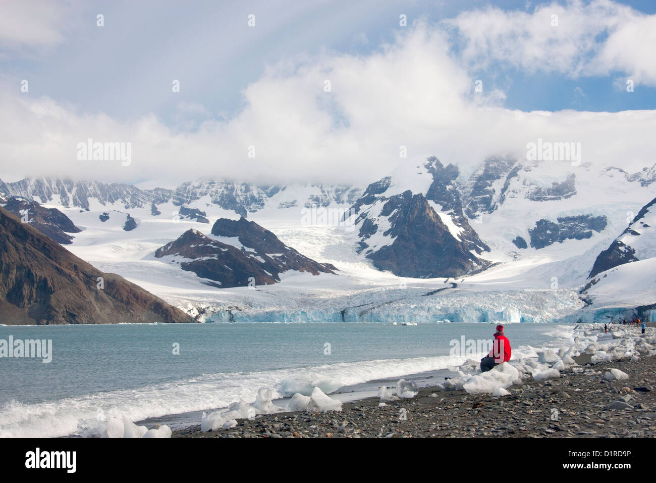 Woman enjoying the view of the Weddell glacier in Royal Bay, South Georgia Island, Antarctica Stock Photo