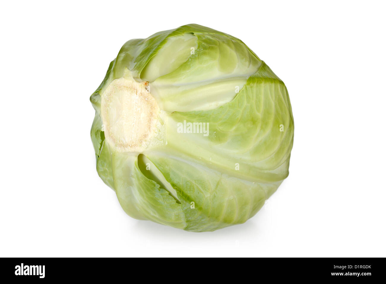 Cabbage Stock Photo