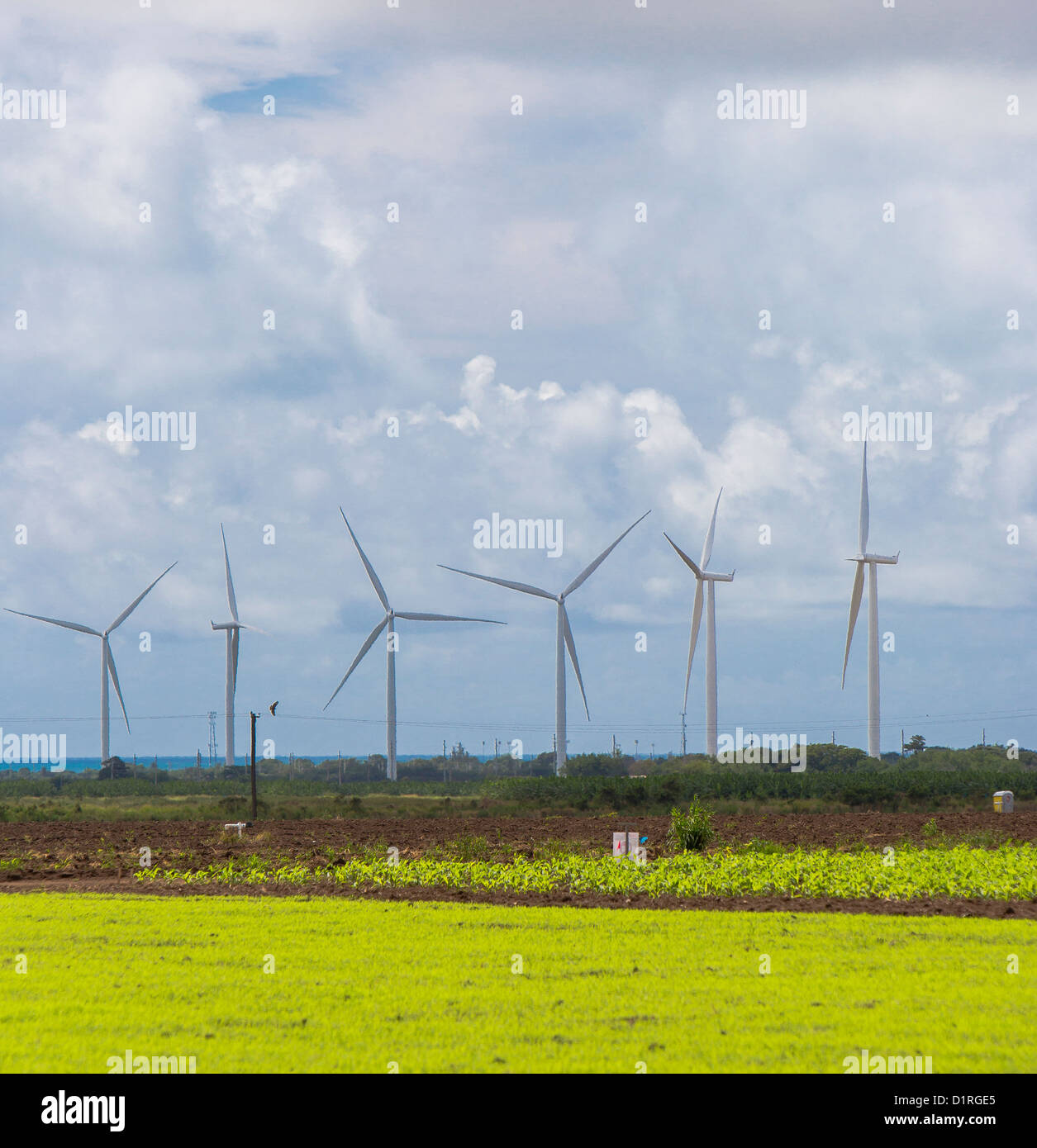 PONCE, PUERTO RICO Windmills generating electricity from wind power