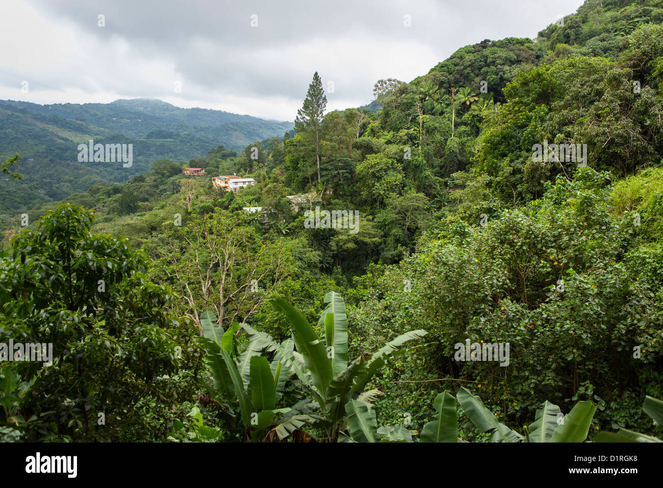 ADJUNTAS, PUERTO RICO homes in mountains Stock Photo Alamy