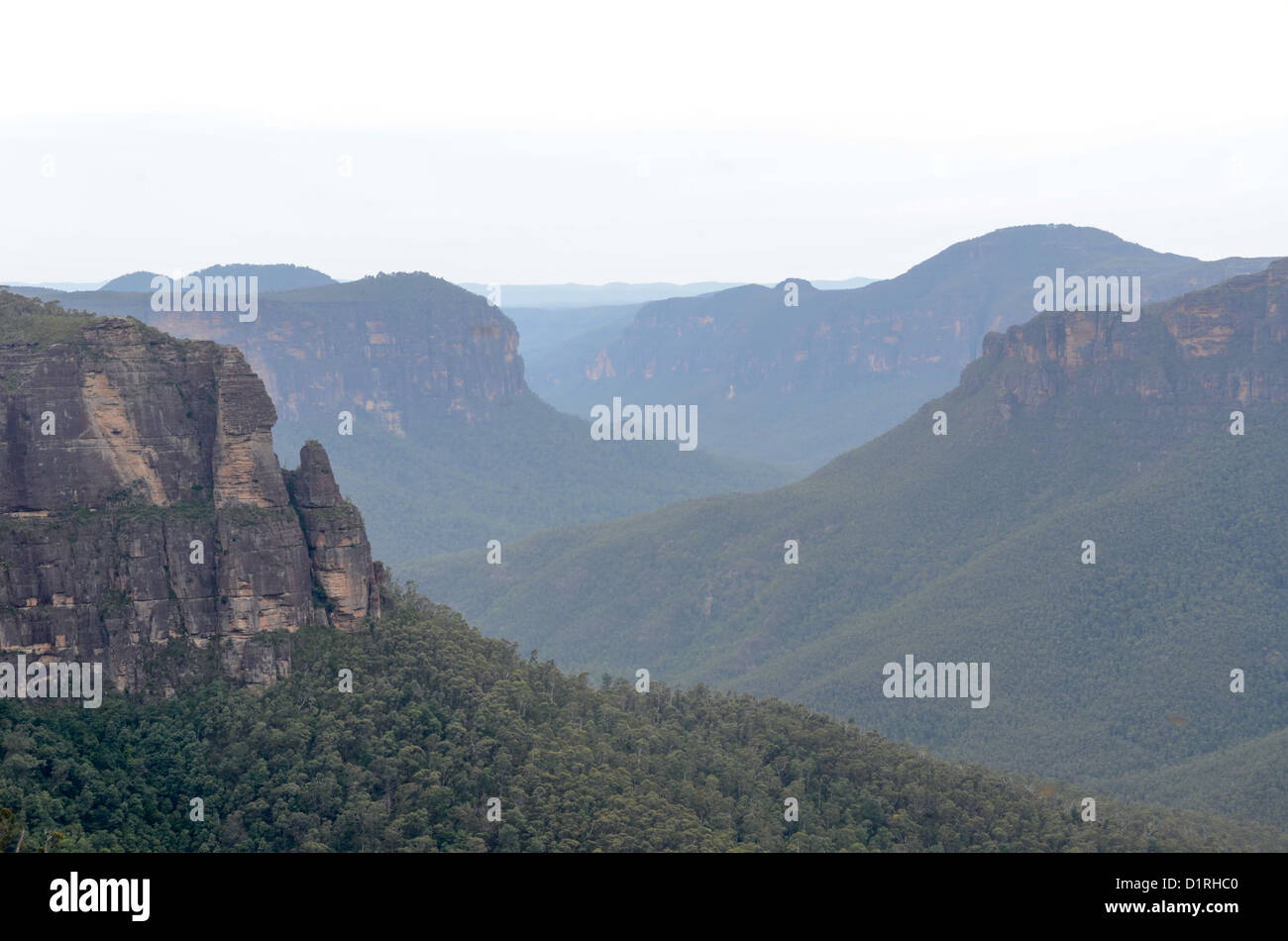 KATOOMBA, Australia - The view out over the Blue Mountains near Blackheath, New South Wales, Australia, from George Phillips Lookout. Phillips was secretary of the Blackheath Group of the Blue Mountains Sights Reserves Trust from 1917 to 1939. Stock Photo
