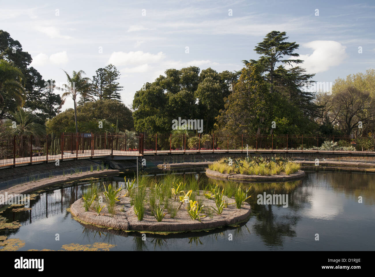 Pond formed within Guilfoyle's Volcano, a 19th-century  landscaped reservoir at the Royal Botanic Gardens, Melbourne Stock Photo