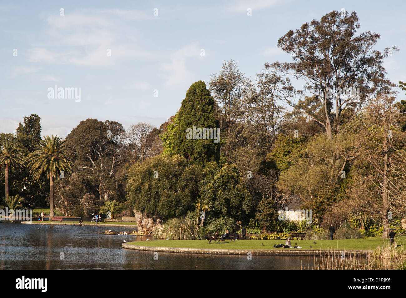 Late afternoon by the lake in Melbourne's century-old Royal Botanic Gardens Stock Photo