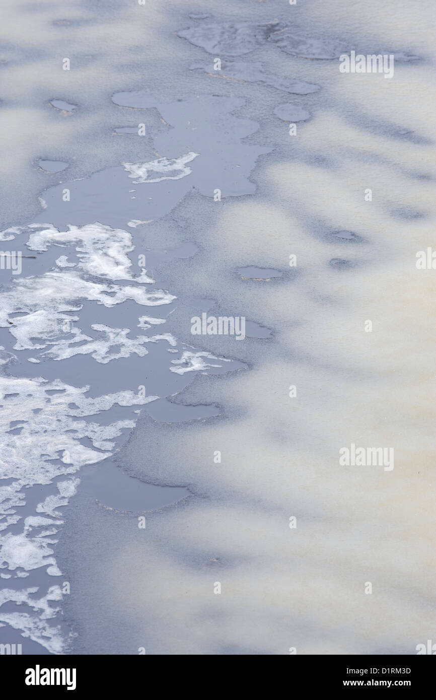 Yellow ice on bog pool Stock Photo