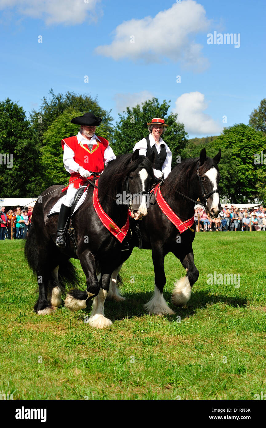 Shire-Hors auf dem Rosstag Bartholomae • Baden-Wuerttemberg, Deutschland Stock Photo