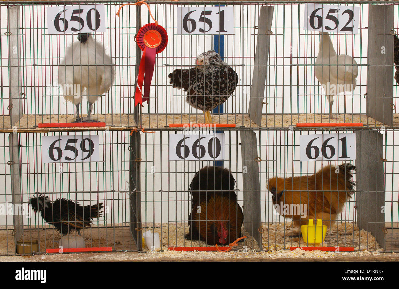 Mei 2017 8 Chicken Coop Plans