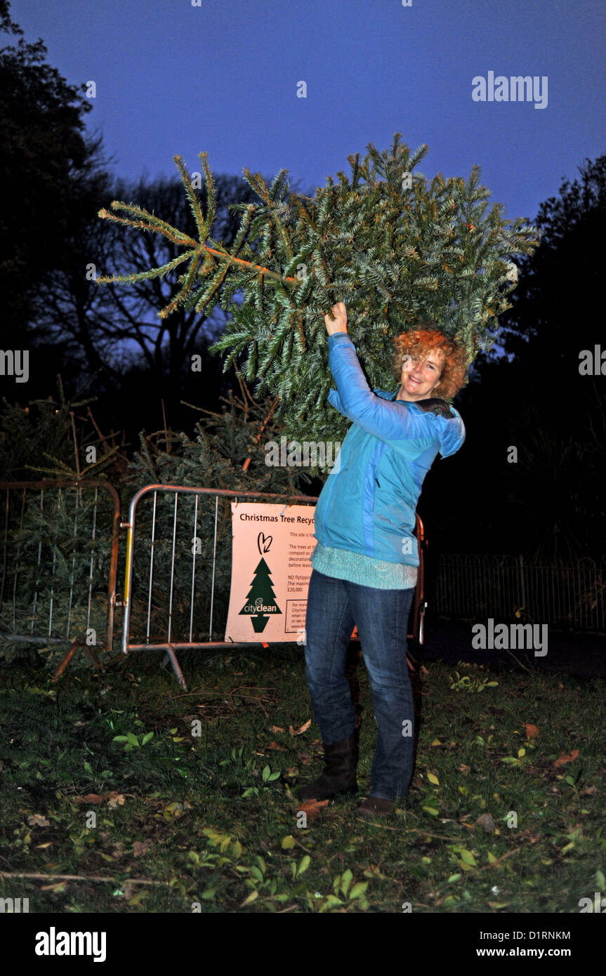 Council christmas tree recycling point hires stock photography and