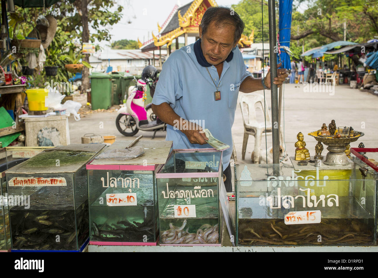 Jan. 4, 2013 - Bangkok, Thailand - A man who sells fish that are released into a nearby canal blesses his fish tanks after his first sale of the day at Wat Mahabut in eastern Bangkok. The temple was built in 1762 and predates the founding of the city of Bangkok. Just a few minutes from downtown Bangkok, the neighborhoods around Wat Mahabut are interlaced with canals and still resemble the Bangkok of 60 years ago. Wat Mahabut is a large temple off Sukhumvit Soi 77. The temple is the site of many shrines to Thai ghosts. Many fortune tellers also work on the temple's grounds. (Credit Image: © Jac Stock Photo