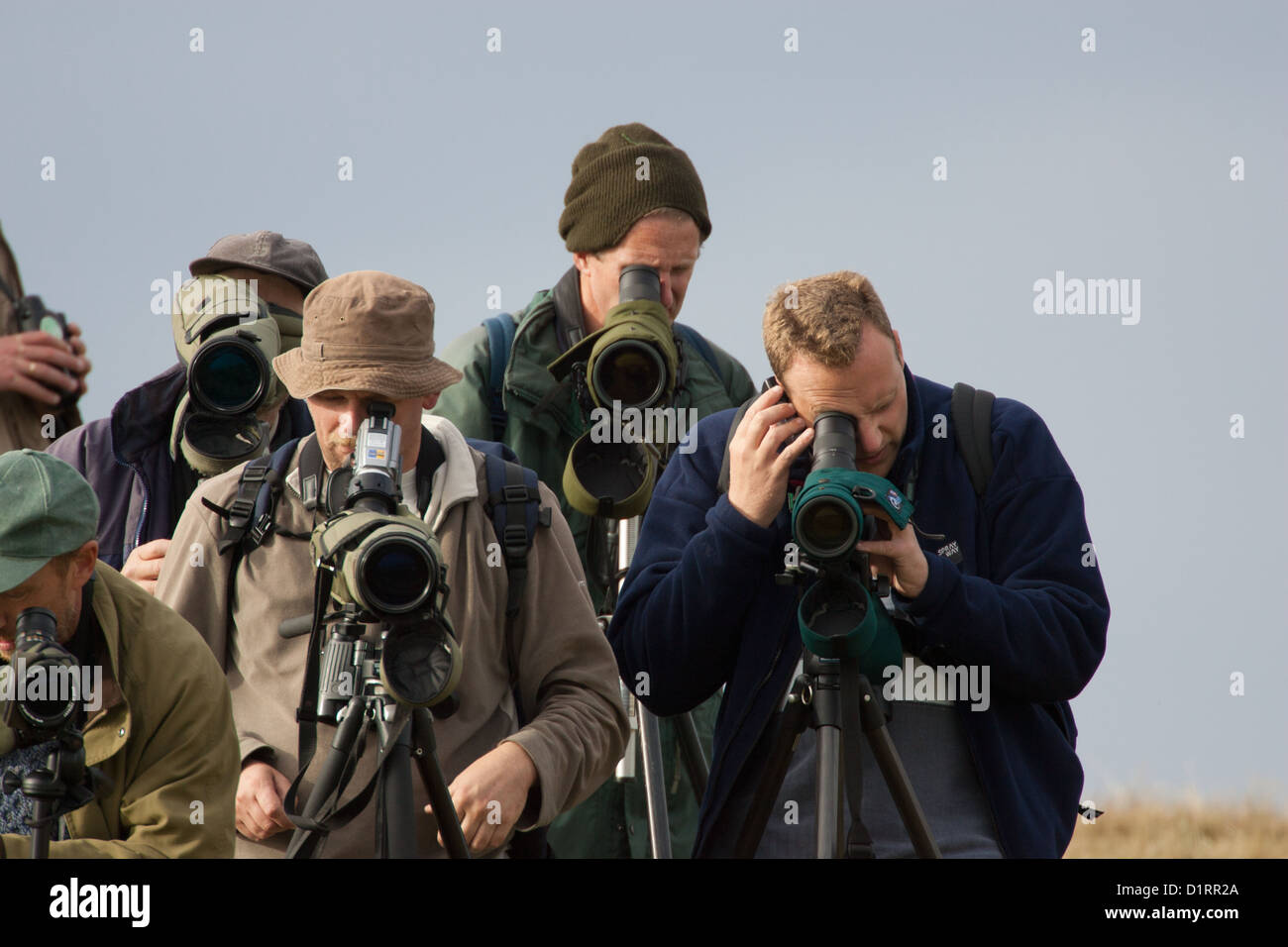 Birdwatchers / Twitchers watching Britain's first-ever Chestnut-eared Bunting on Fair Isle, Shetland, Scotland in 2004. Stock Photo