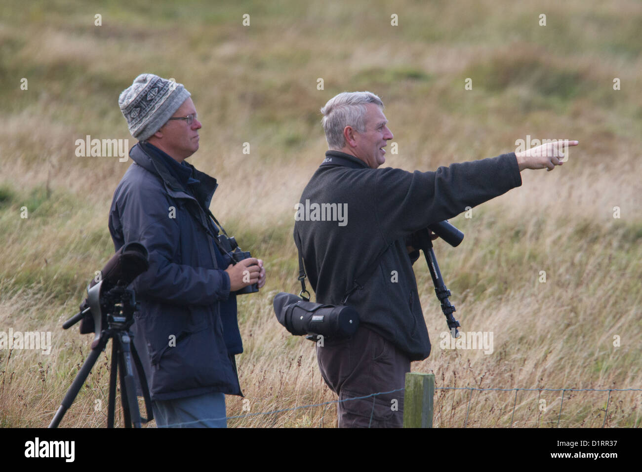 Birdwatchers looking for migrant birds in autumn, Shetland, Scotland, UK Stock Photo