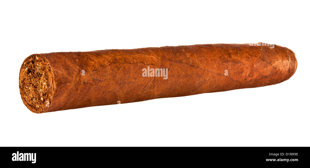 One cigar on a white background Stock Photo