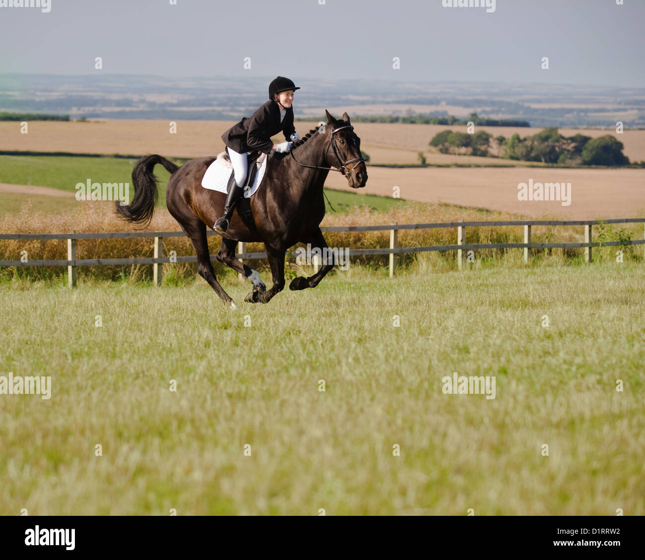 Horse and rider at gallop across a field with stunning views behind. Shows girl on horse riding on summer day. Stock Photo