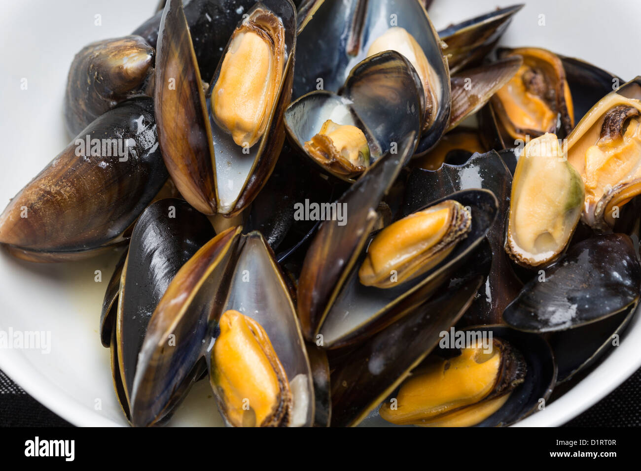 Mussels sea food Moules Stock Photo Alamy