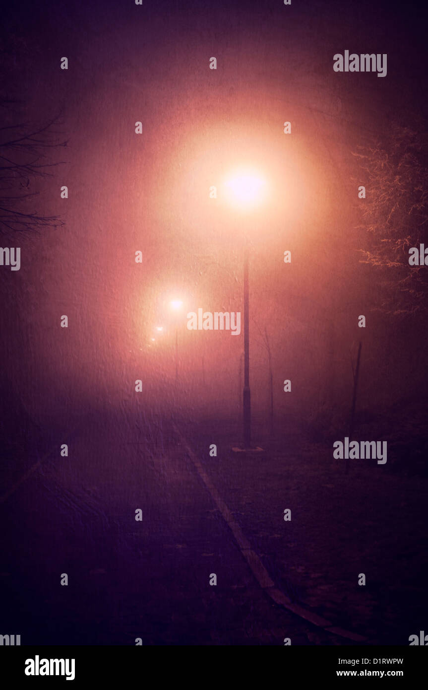Foggy night park hi-res stock photography and images - Alamy