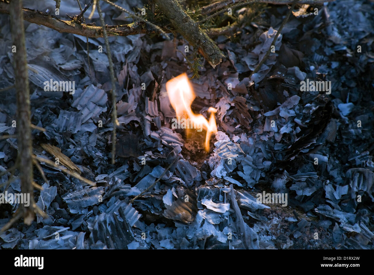Small Burning Ember Of Camp Fire Stock Photo Alamy