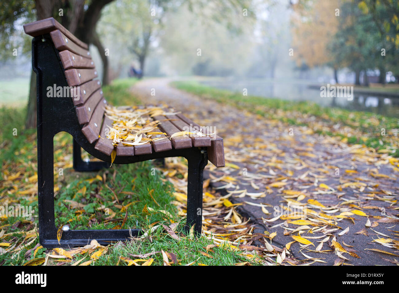 Empty bench covered in leaves next to the River Cam, Cambridge, England, UK Stock Photo