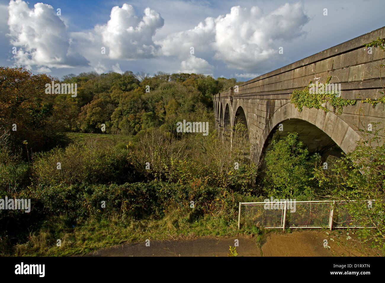 South side of Derriton viaduct near Holsworthy in Devon Stock Photo