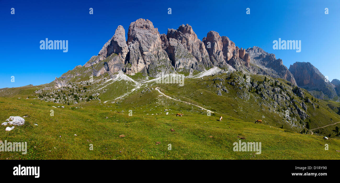 Odle Group, Fermeda towers and Sass Rigais from Col Raiser, Puez-Geisler Nature Park, Dolomites, Trentino Alto Adige, Italy Stock Photo