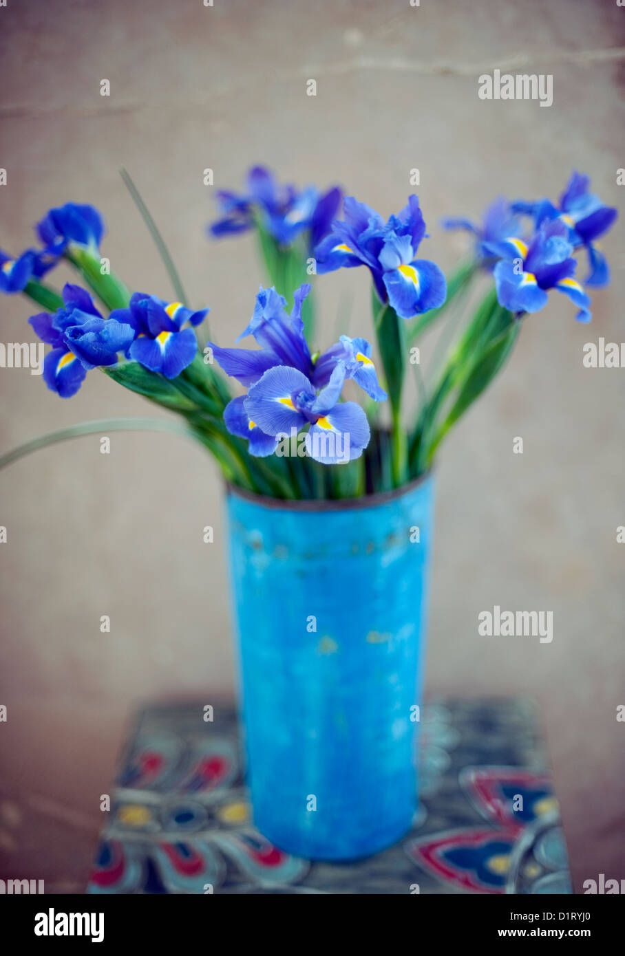 Iris flowers in a vase Stock Photo Alamy
