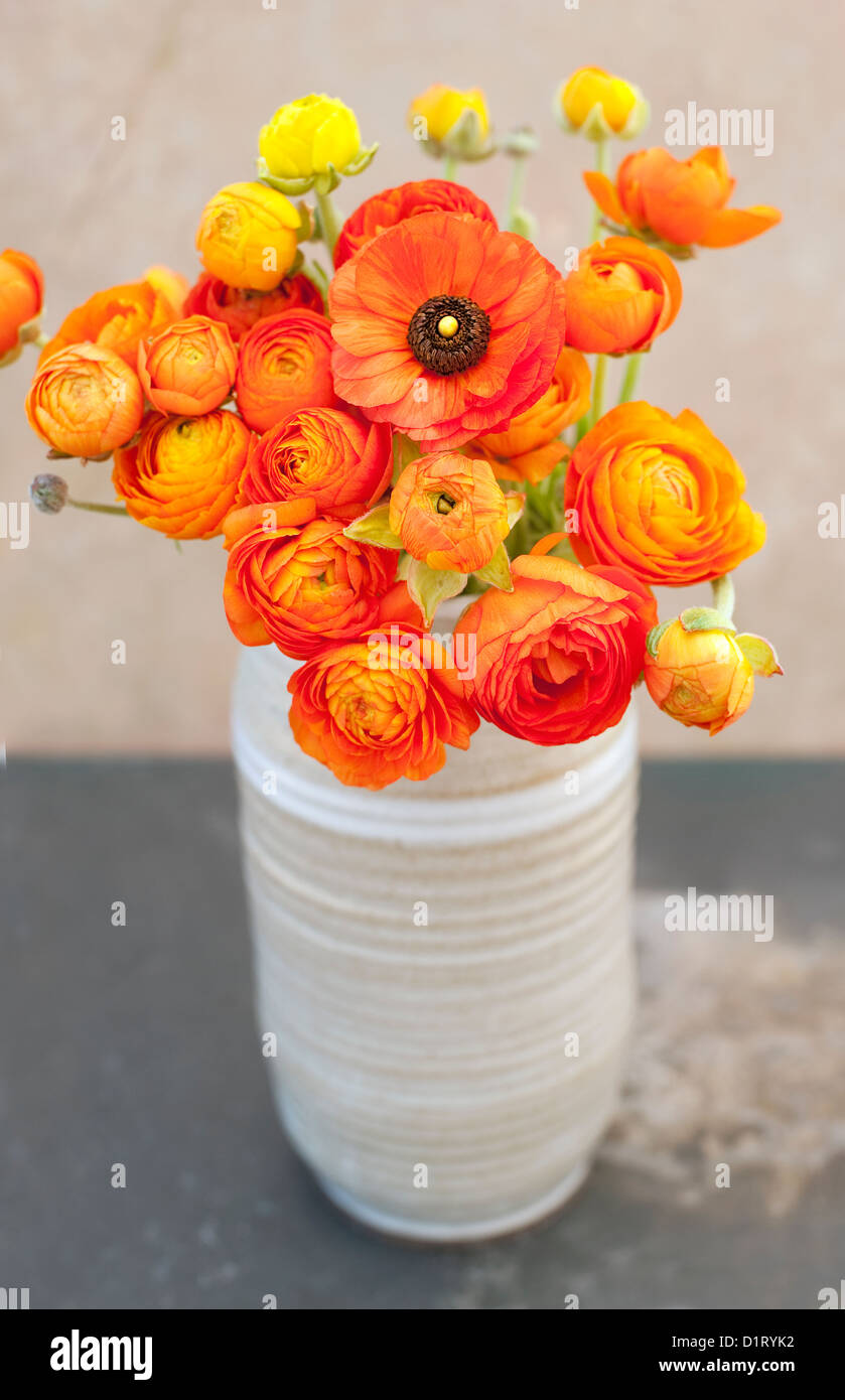 Ranunculus flowers in a vase Stock Photo Alamy