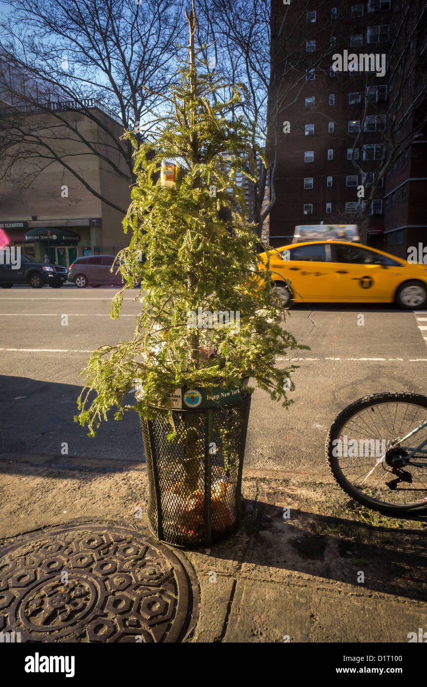 14 January 2021, Brandenburg, Kleinmachnow: A yellow garbage bag hangs from  a tree next to a garden ready for pickup. Photo: Soeren  Stache/dpa-Zentralbild/ZB Stock Photo - Alamy