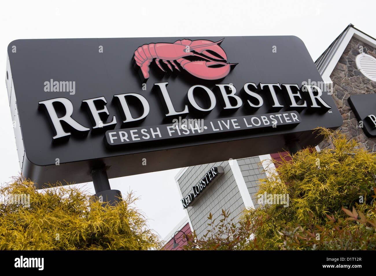A Red Lobster seafood casual dining chain restaurant.  Stock Photo