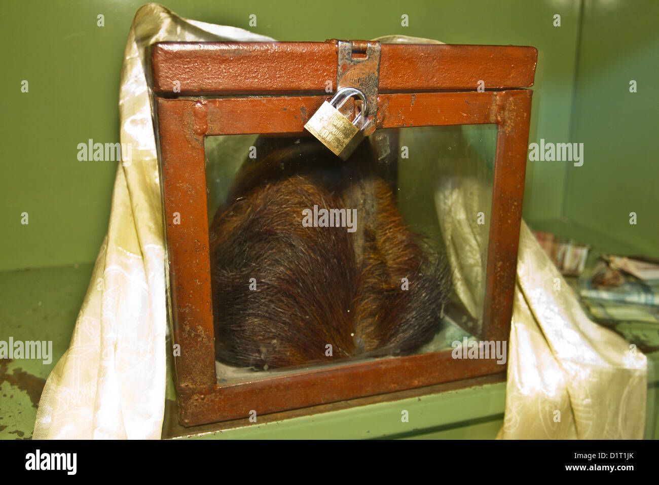 Yeti hires stock photography and images Alamy