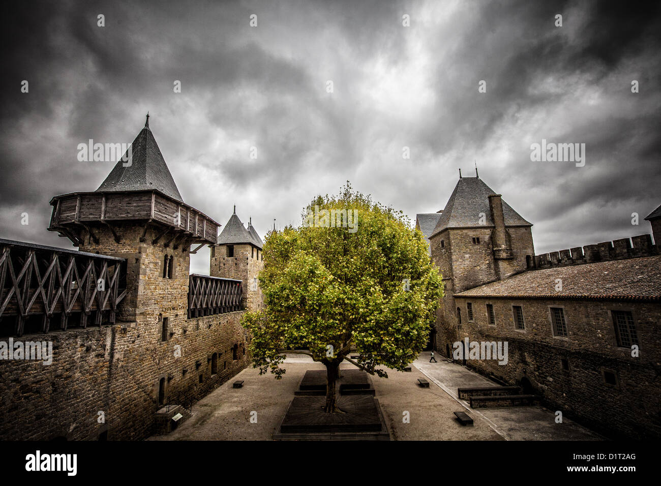 A lone tree surrounded by castle walls Stock Photo