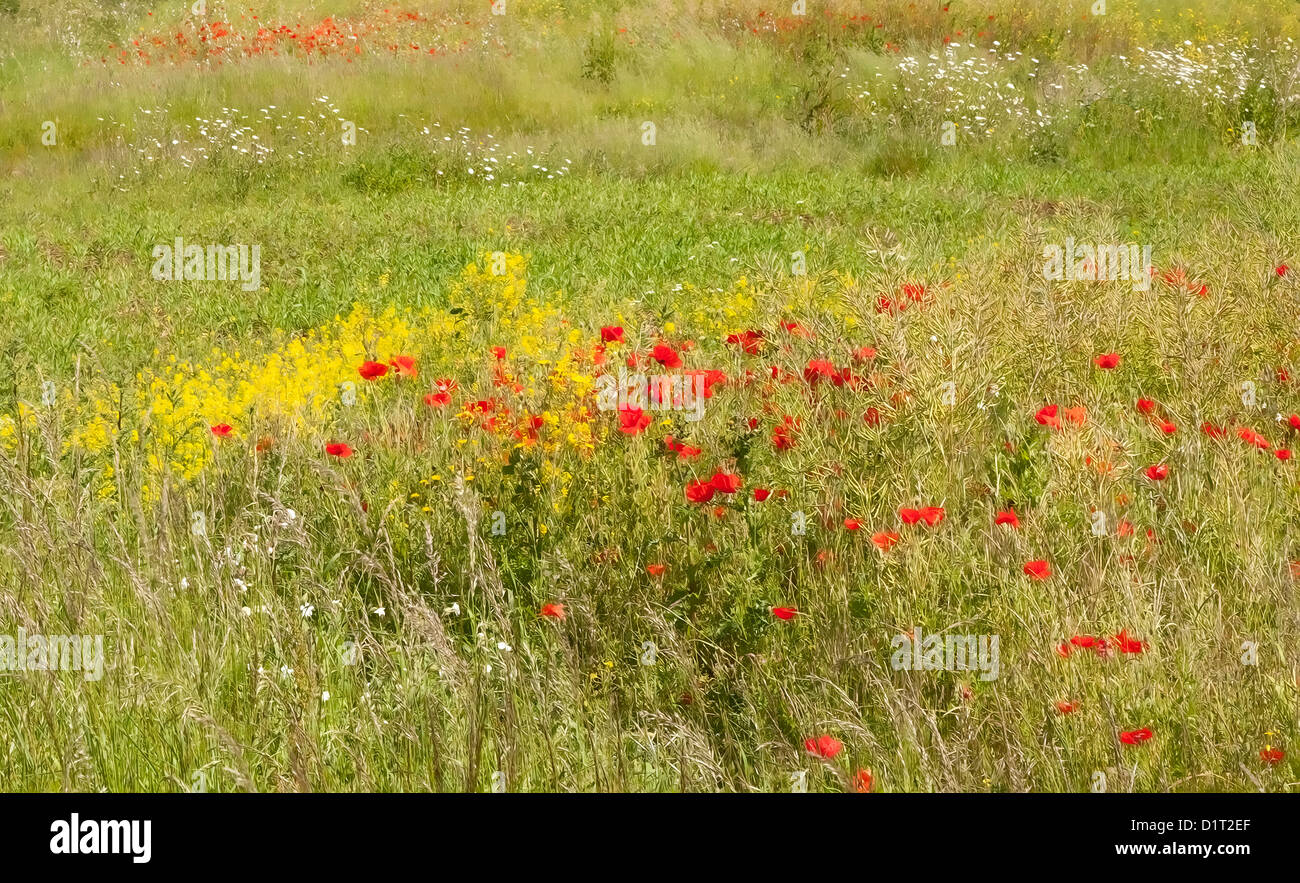Painterly meadow background Stock Photo