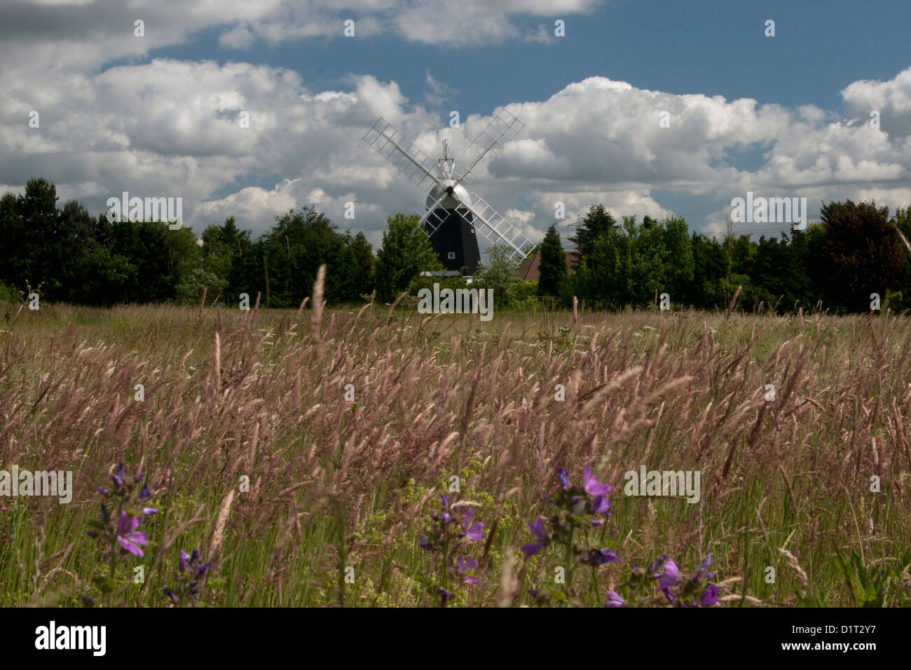 converted smock mill on edge of meadow at Swaffham Prior, Cambridgeshire, East Anglia Stock Photo