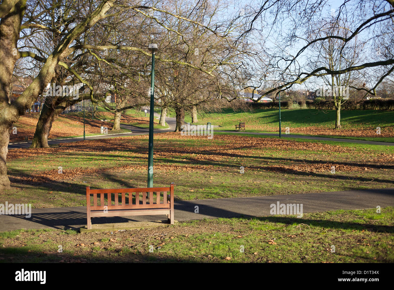 Bench in sunny autumn park, Kensal Rise, Northwest London Stock Photo
