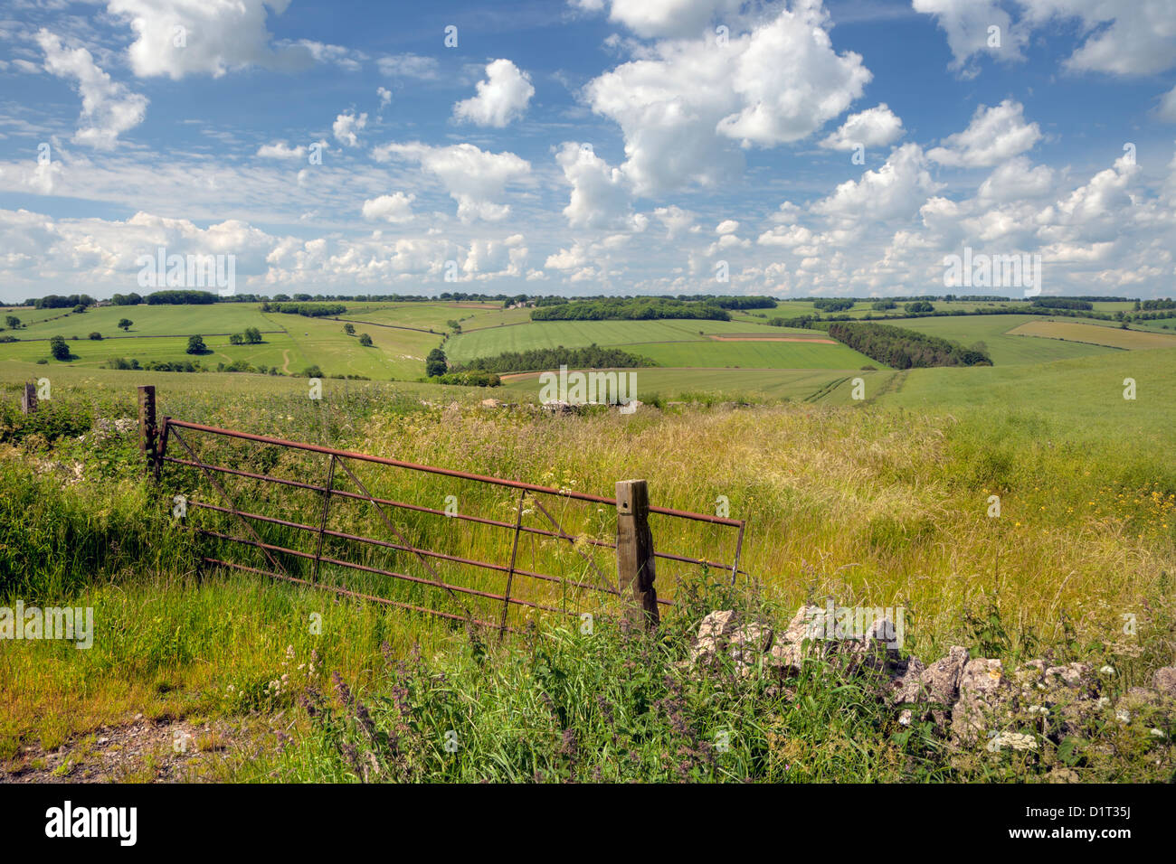Rolling downs landscape with old farm gate, Cotswolds, England. Stock Photo