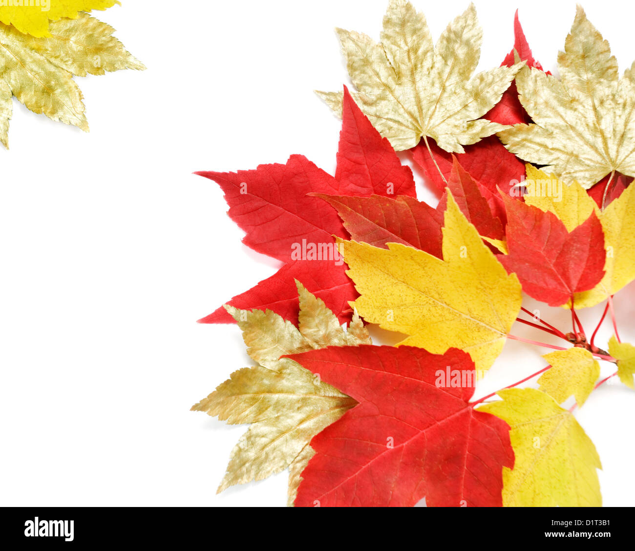 Gold Leaf Border High Resolution Stock Photography and Images - Alamy