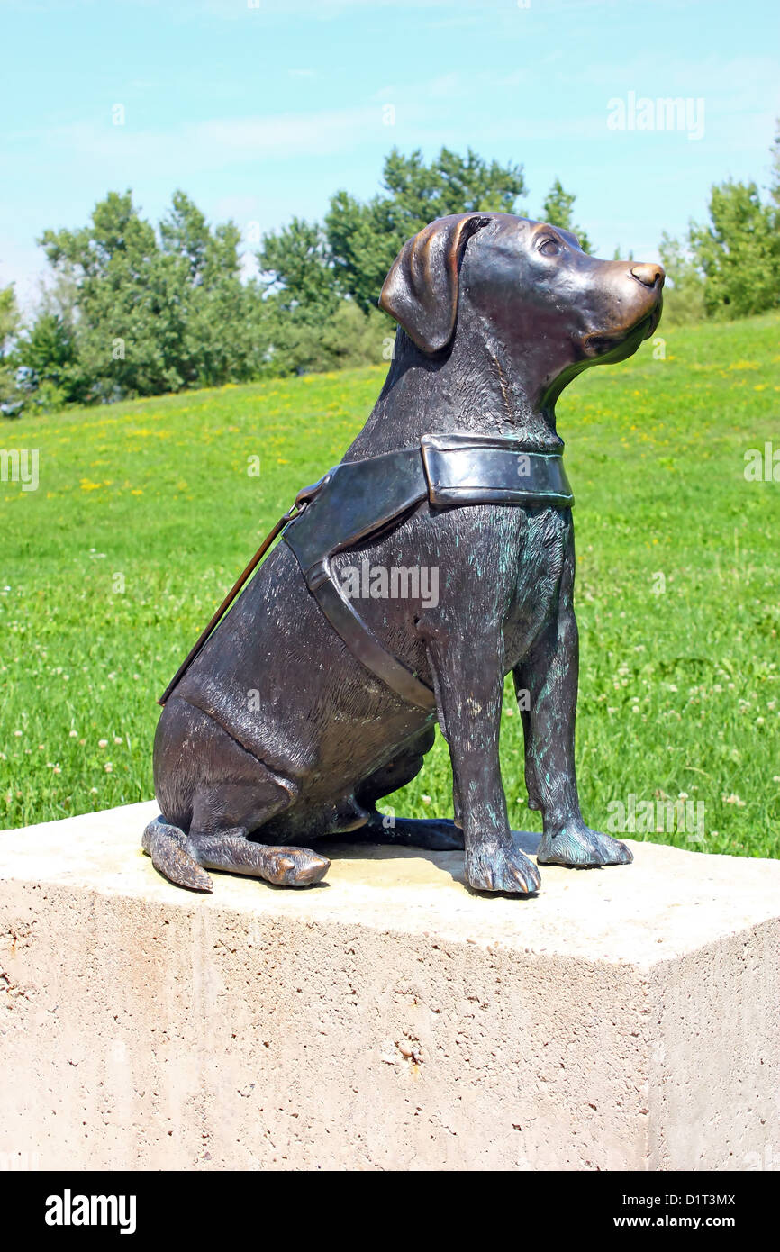 Statue of seeing eye dog hi-res stock photography and images - Alamy