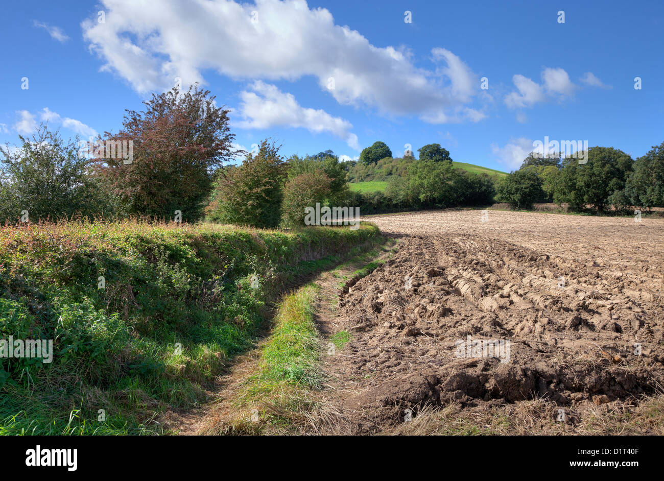 Rural England showing ploughed field, hedgerows and hills in late Summer Stock Photo