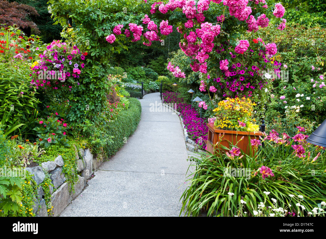 North America. Canada. BC. Victoria. Rose Garden at Butchard Gardens In