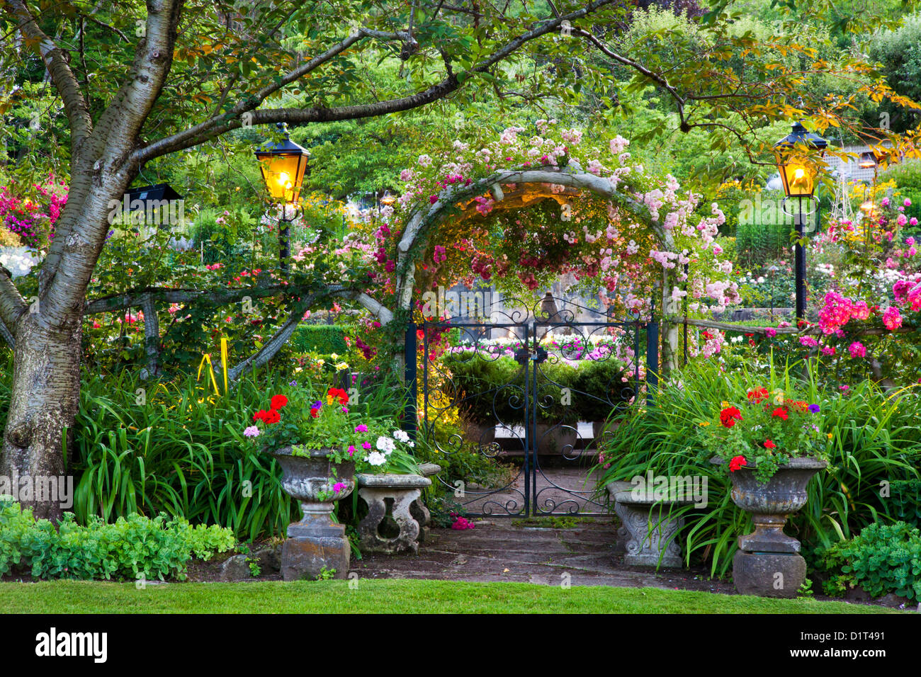 North America. Canada. BC. Victoria. Rose Garden at Butchard Gardens In
