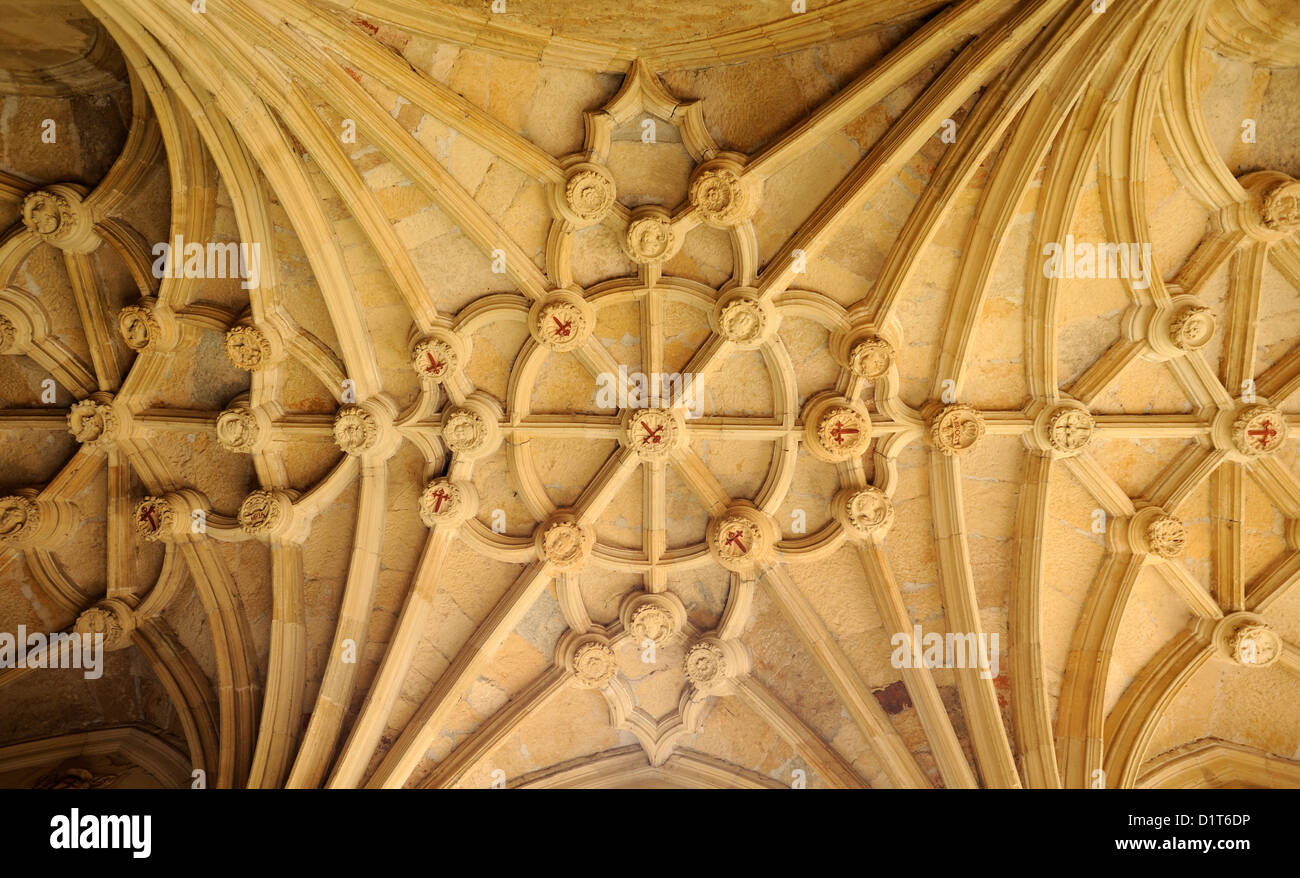 Decorated vaulted ceiling. Convento de San Marcos, Hostal de San Marcos.  Leon, Castilla y Leon, Spain 04Jul12 Stock Photo