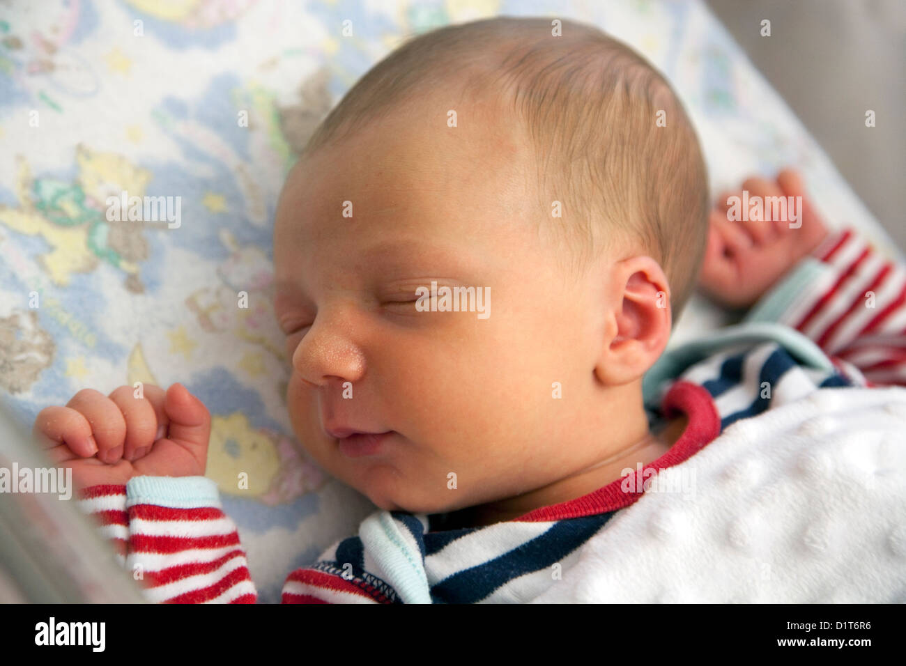 A five day old baby in a hospital cot Stock Photo