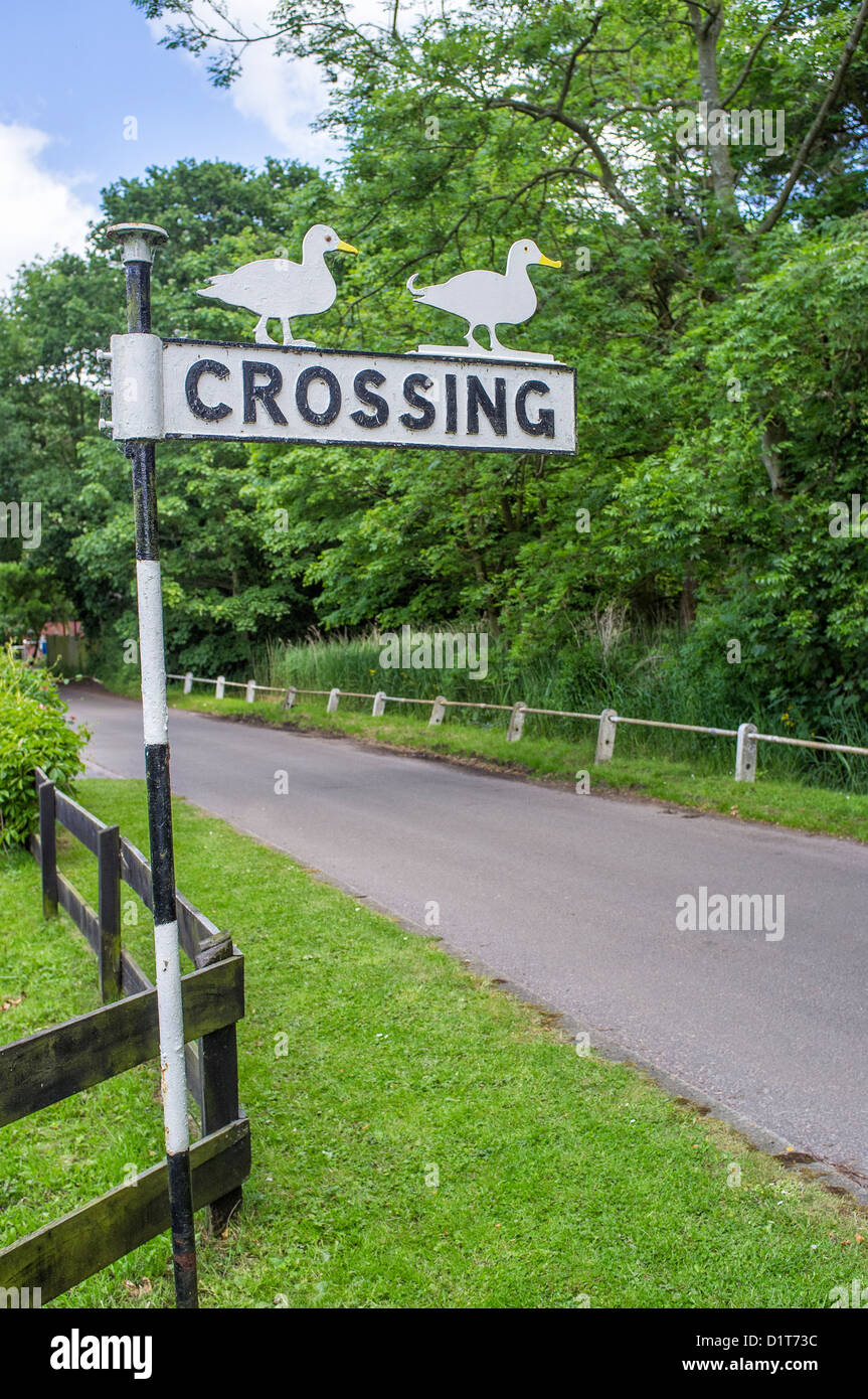 Duck Crossing Sign by Road in Ludham Norfolk UK Stock Photo