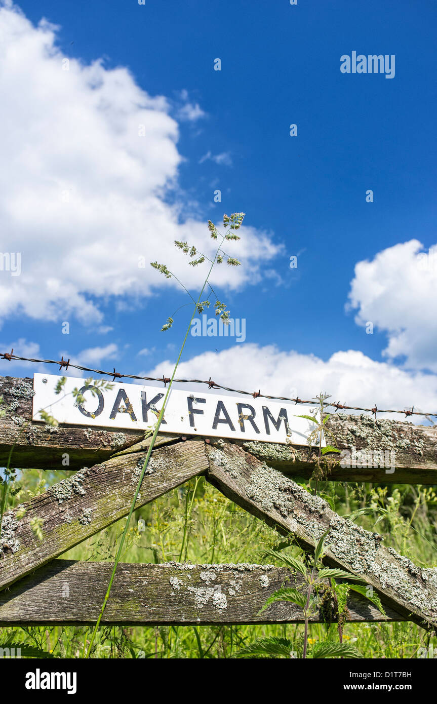 Old Farm Gate and Hay Meadow Norfolk UK Stock Photo Alamy