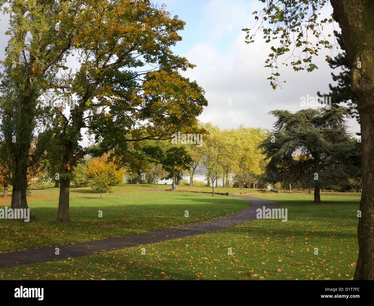 Landscape of Roundwood park in NW, London, UK, with trees and sunshine Stock Photo