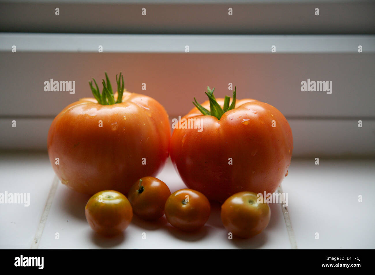 Cherry and large tomatoes on a windowsill Stock Photo