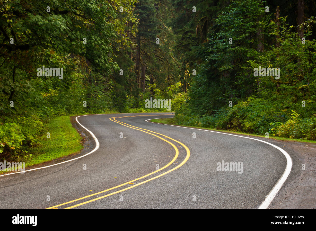 Mountain Loop Highway near Darrington in the Mount Baker Snoqualmie National Forest, Washington, USA Stock Photo