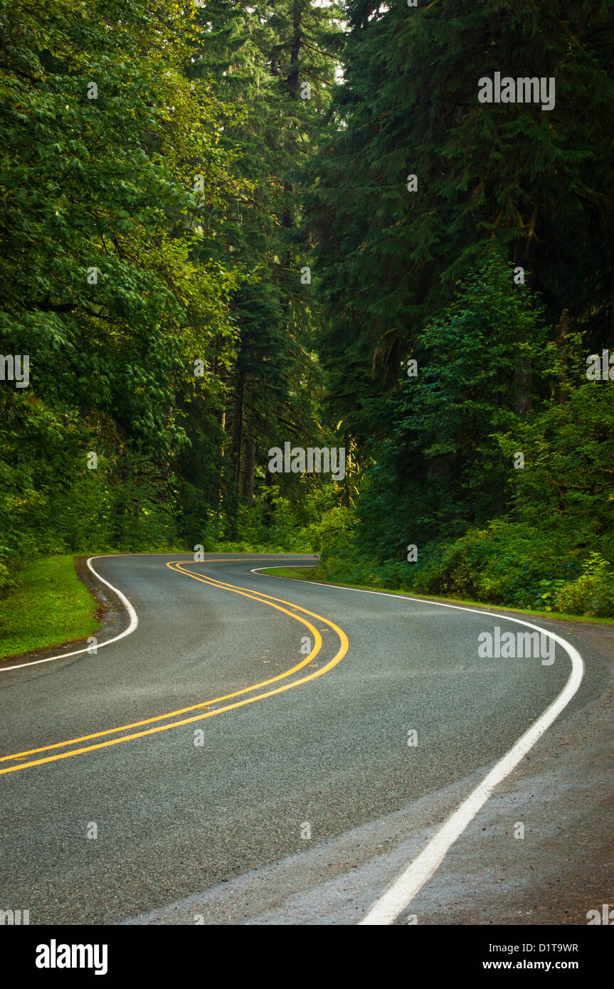 Mountain Loop Highway near Darrington in the Mount Baker Snoqualmie National Forest, Washington, USA Stock Photo