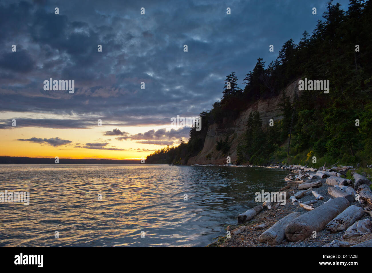 are dogs allowed at camano island state park