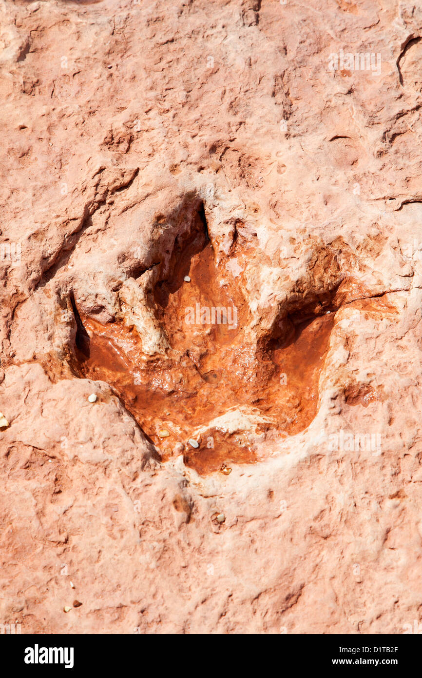 Dinosaur Track Near Tuba City, Arizona, USA Stock Photo Alamy